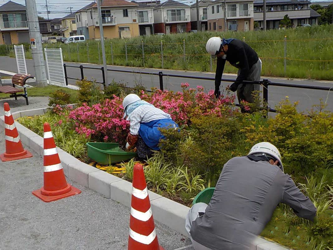 公園芝刈